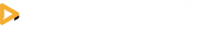 logo-bigmedia2